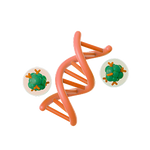 DNA Methylation Panel