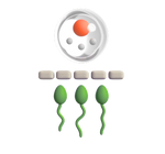 Semen DNA Fragmentation Test