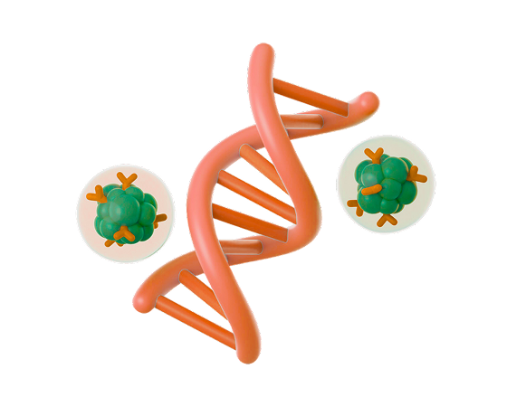 Тест полноэкзомного секвенирования