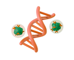 DNA Methylation Test