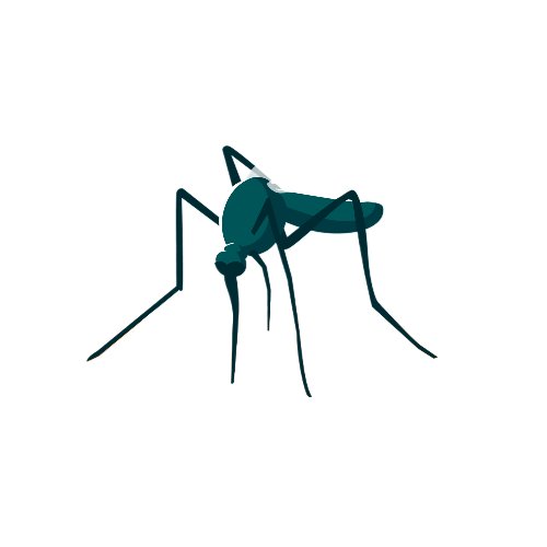 Dengue Test in Dubai Price aed 550