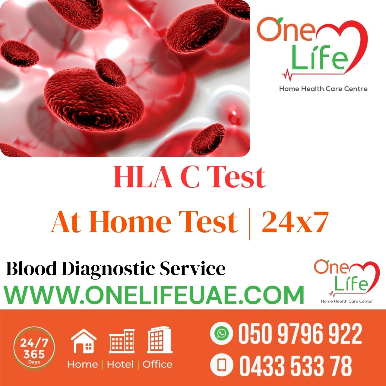 HLA C Test