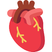 Extensive Cardiac Function