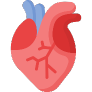 Cardiac Marker Test Dubai Uae