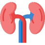Renal Function Tests/ Renal Profile