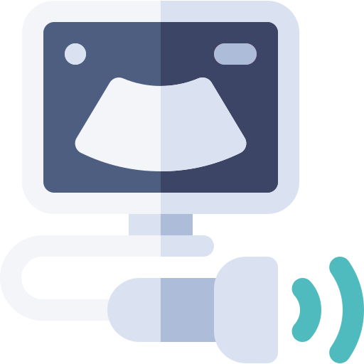 Ultra Sound (USG) Scan