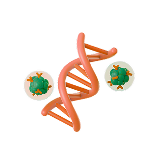 DNA Methylation Panel