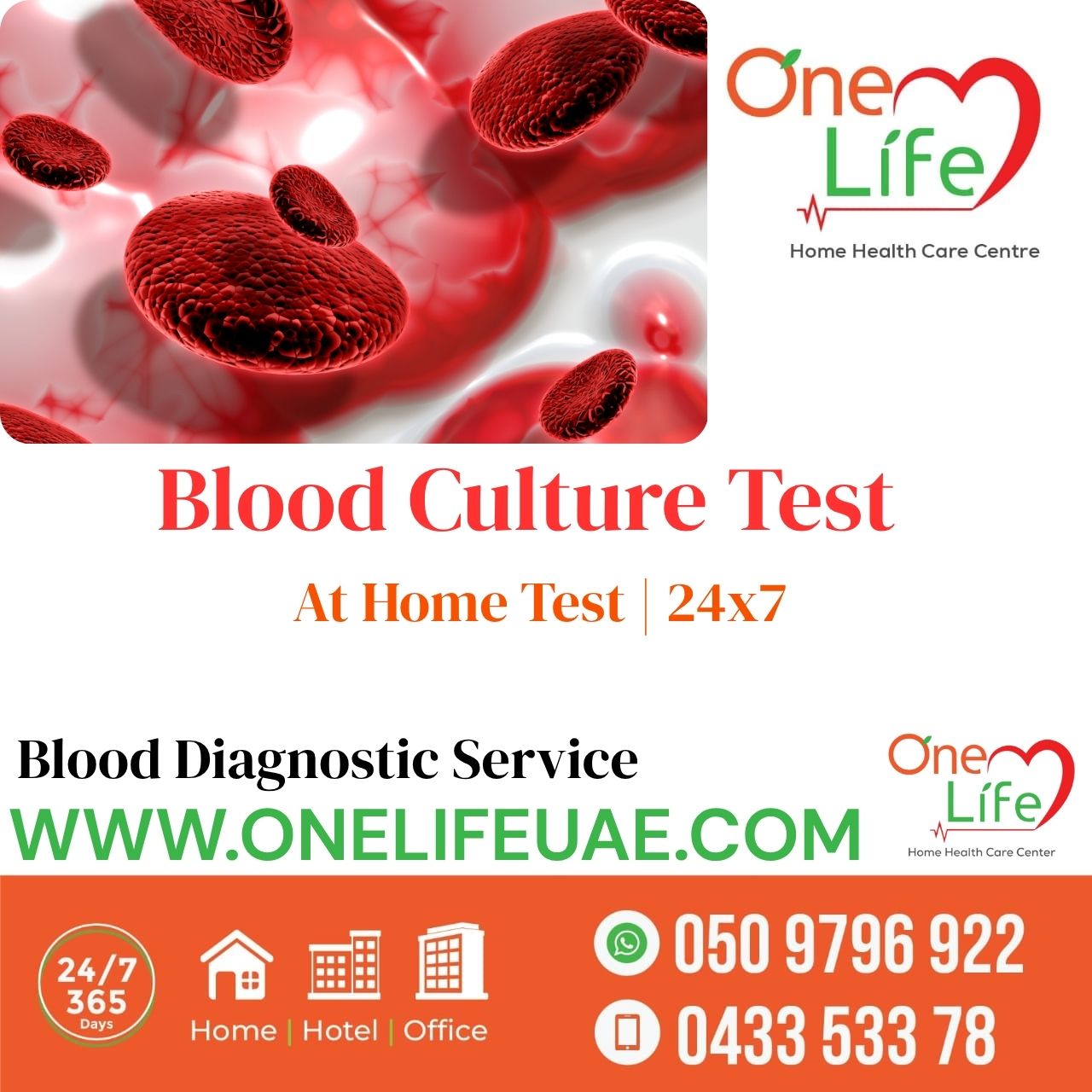 Blood Culture & Sensitivity Test