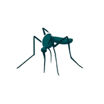 Dengue Test in Dubai Price aed 550