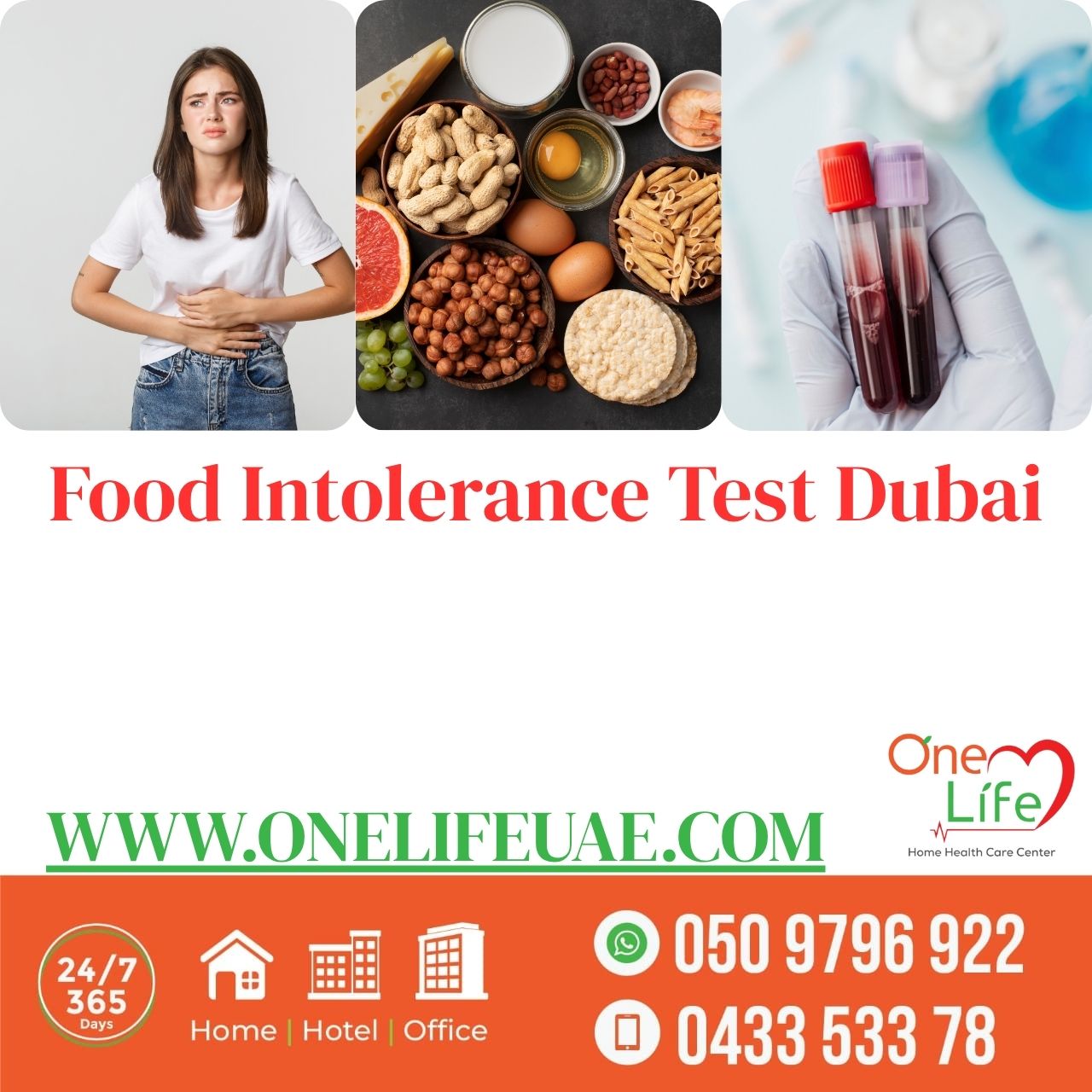 Food Intolerance Test 221Food