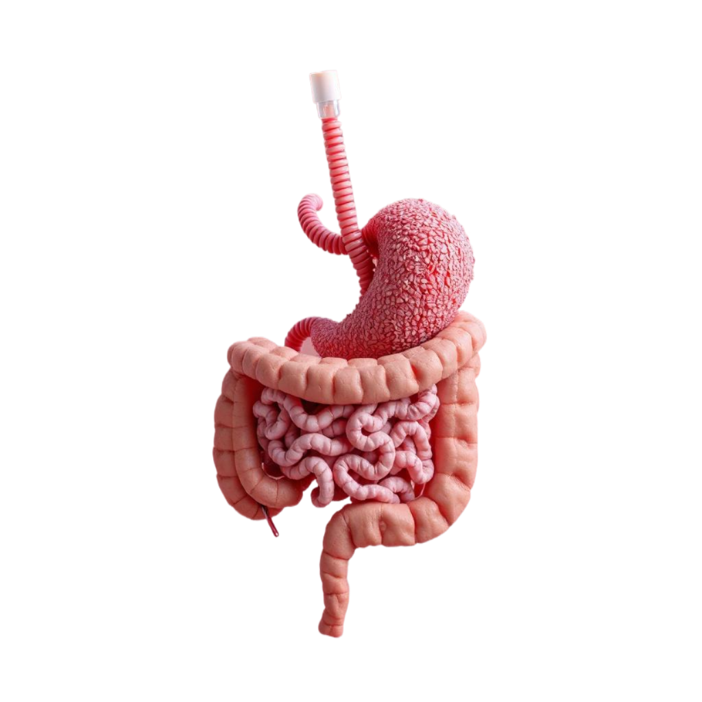 Gut Microbiome Test Dubai Price Aed 2400 near me