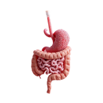 Gut Microbiome Test Dubai Price Aed 2400 near me