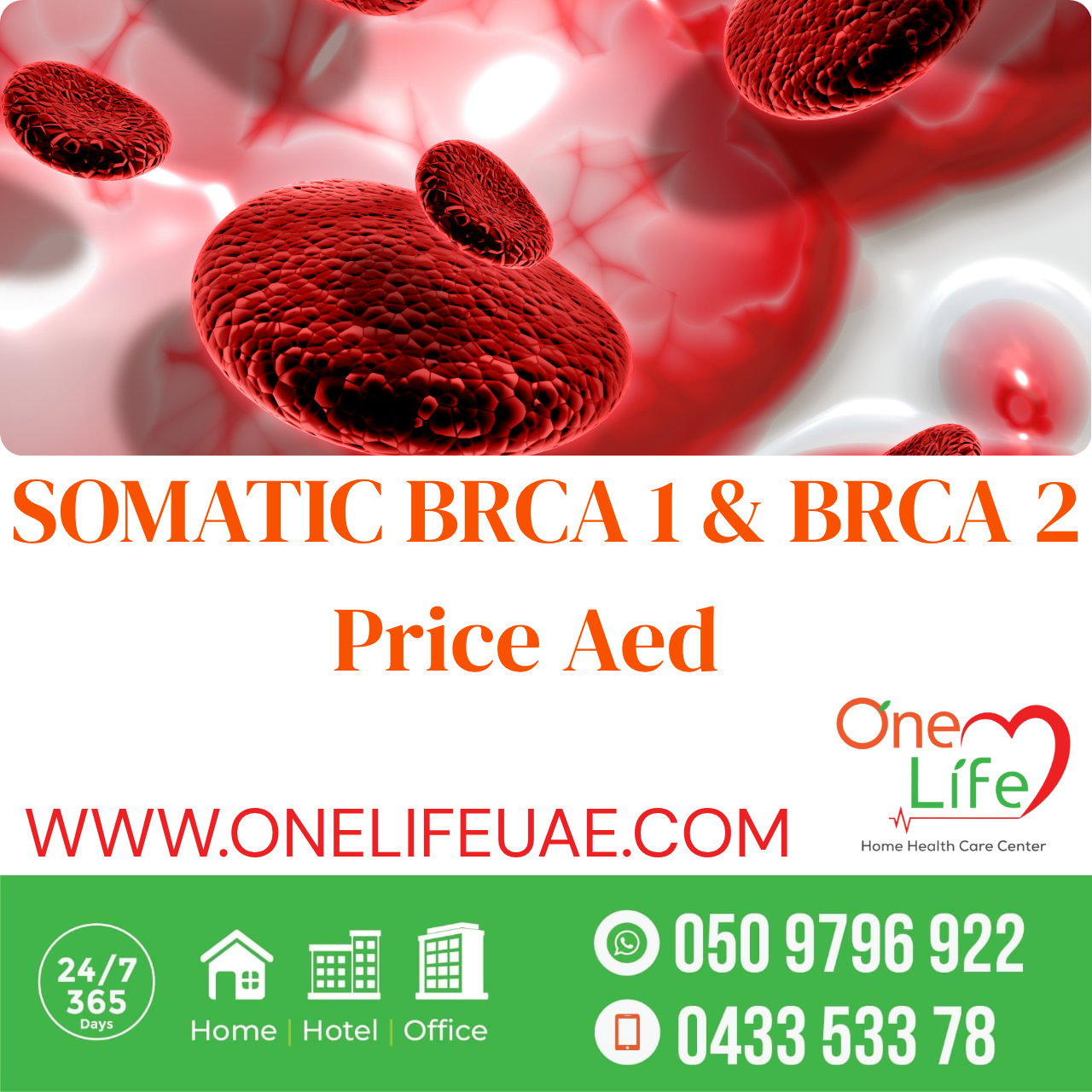 Somatic BRCA 1 & 2 Test