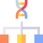 KaryotypingTest price in Dubai 