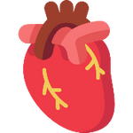 Extensive Cardiac Function