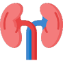 Kidney Function Test price in dubai at home