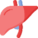 Liver Function Tests/Liver Profile