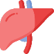 Liver function Blood Test