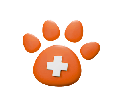Pet Allergy