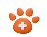 Pet Allergy Test Price aed 320 near me dubai